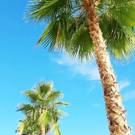 Sunny In Quiet Part Of Centre * Sarande